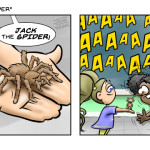 Jack The Spider