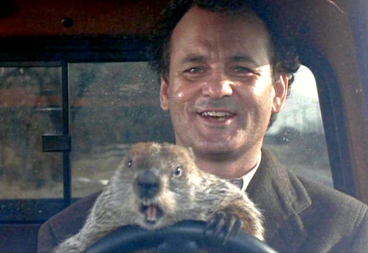 Groundhog day